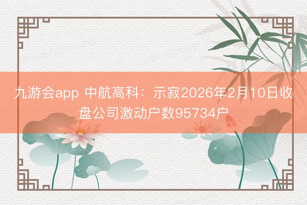 九游会app 中航高科：示寂2026年2月10日收盘公司激动户数95734户