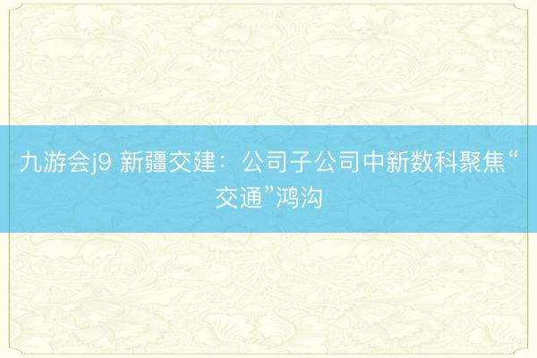 九游会j9 新疆交建：公司子公司中新数科聚焦“交通”鸿沟