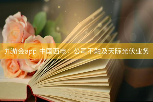 九游会app 中国西电：公司不触及天际光伏业务