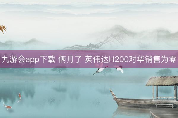 九游会app下载 俩月了 英伟达H200对华销售为零