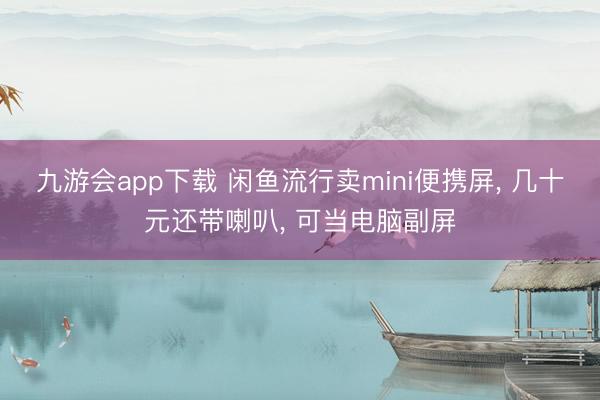 九游会app下载 闲鱼流行卖mini便携屏, 几十元还带喇叭, 可当电脑副屏