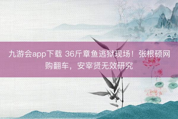 九游会app下载 36斤章鱼逃狱现场！张根硕网购翻车，安宰贤无效研究