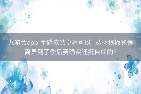 九游会app 手感依然卓著可以! 丛林狼板凳得离异到了季后赛确实还挺自如的?